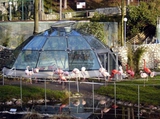 Zoologická zahrada Liberec.